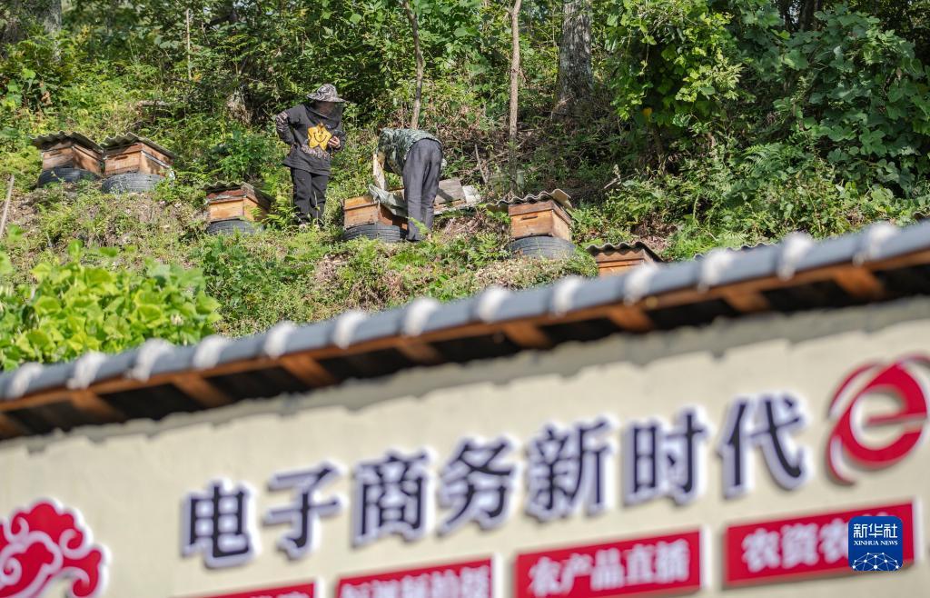 宝马娱乐平台